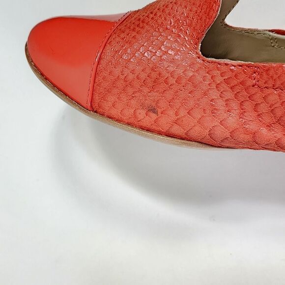 Agl   - Picture 15 of 15